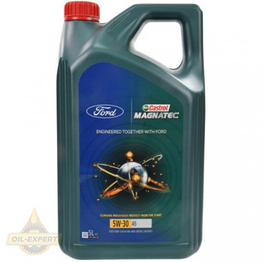 Castrol Моторное масло CASTROL MAGNATEC PROFESSIONAL A5 5W-30 FORD - Картинка 1