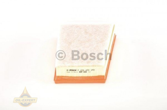 Bosch Фильтр воздушный BOSCH F 026 400 250 - Картинка 5