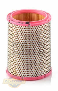 Mann-filter Фильтр воздушный MANN-FILTER C 1440/1 - Заображення 1
