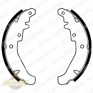 Delphi Колодки тормозные барабанные DELPHI LS1924 - Картинка 1