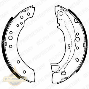 Delphi Колодки тормозные барабанные DELPHI LS1921 - Картинка 1