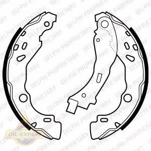 Delphi Колодки тормозные барабанные DELPHI LS2066 - Картинка 1