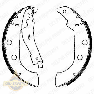 Delphi Колодки тормозные барабанные DELPHI LS1833 - Картинка 1