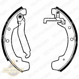 Delphi Колодки тормозные барабанные DELPHI LS1305 - Картинка 1