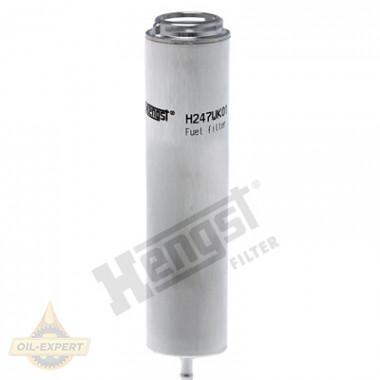 Hengst Фильтр топливный HENGST H247WK01 - Картинка 1