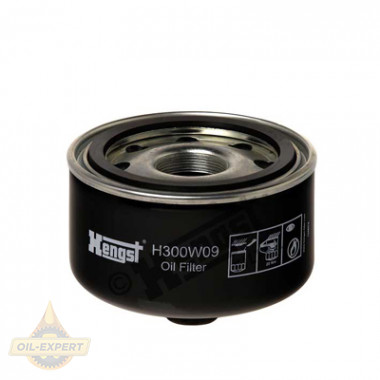 Hengst Фильтр масляный HENGST H300W09 - Картинка 1