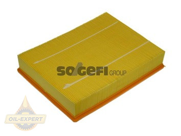 Purflux Фильтр воздушный PURFLUX A1210 - Картинка 1