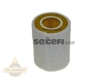 Purflux Фильтр воздушный PURFLUX A1460 - Картинка 1