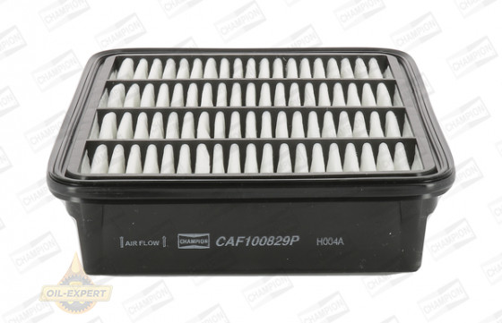 Champion Фильтр воздушный CHAMPION CAF100829P - Картинка 1