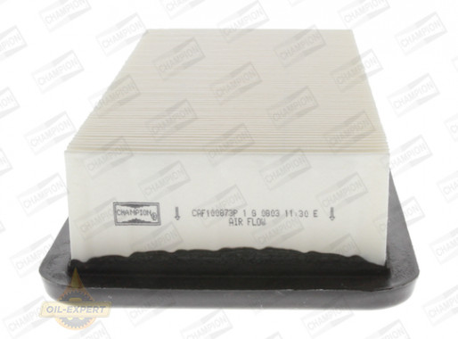 Champion Фильтр воздушный CHAMPION CAF100873P - Картинка 1