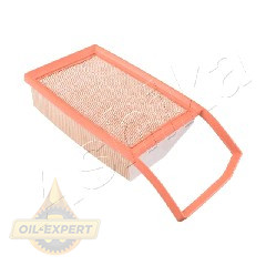 Ashika Фільтр повітряний ASHIKA 20-00-0200 - Картинка 1