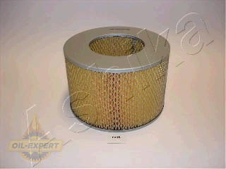 Ashika Фільтр повітряний ASHIKA 20-02-231 - Картинка 1