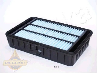 Ashika Фільтр повітряний ASHIKA 20-05-531 - Картинка 1