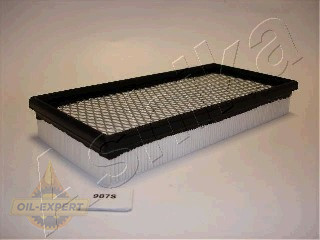 Ashika Фільтр повітряний ASHIKA 20-09-987 - Картинка 1