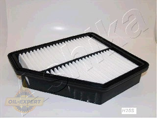 Ashika Фільтр повітряний ASHIKA 20-0H-H25 - Картинка 1