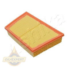 Ashika Фільтр повітряний ASHIKA 20-0L-L21 - Картинка 1