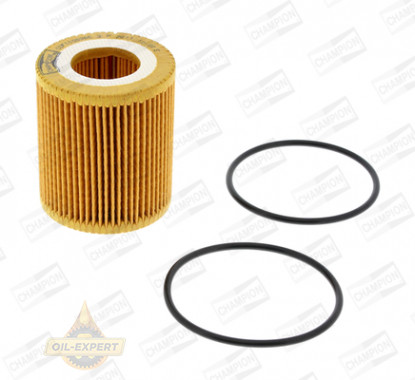 Champion Фільтр масляний CHAMPION COF100536E - Картинка 1