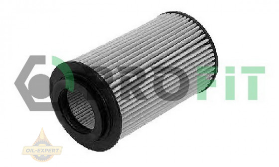 Profit Фільтр масляний PROFIT 1541-0630 - Картинка 1