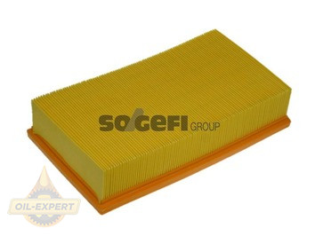 Purflux Фільтр повітряний PURFLUX A1096 - Картинка 1