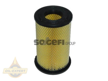 Purflux Фільтр повітряний PURFLUX A1396 - Картинка 1