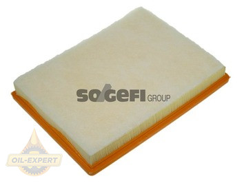 Purflux Фільтр повітряний PURFLUX A1250 - Картинка 1