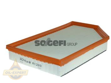 Purflux Фільтр повітряний PURFLUX A1289 - Картинка 1