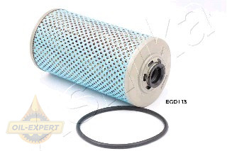 Ashika Фільтр масляний ASHIKA 10-ECO113 - Картинка 1